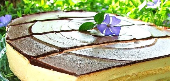 Торт Птичье молоко на агар-агаре