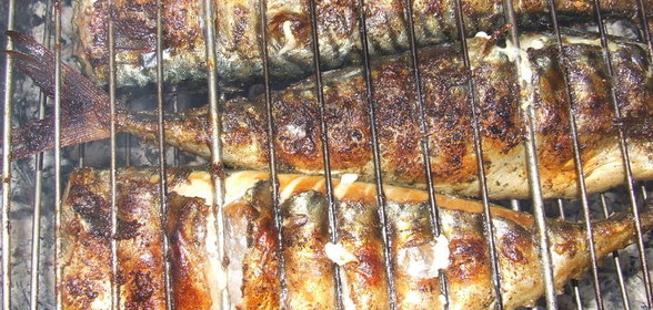 для дачи - маринованная скумбрия, приготовленная на углях