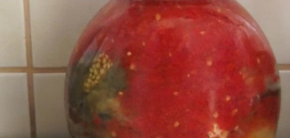 Жаркое «Нептун»