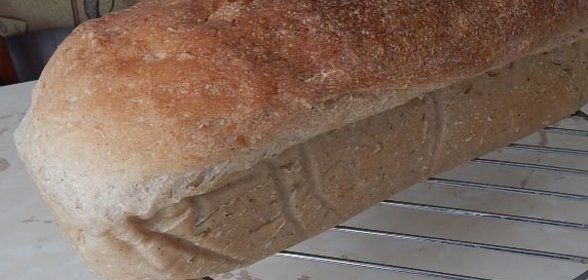 Баклажаны жареные