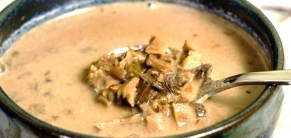 Суп из свежих зонтиков