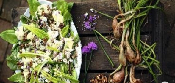 Салат с зеленью, сыром и луком под сливочным соусом