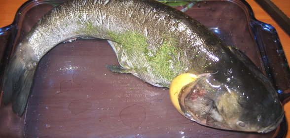 запеченый толстолобик с мочеными яблоками