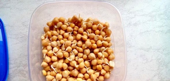 Пророщенный нут