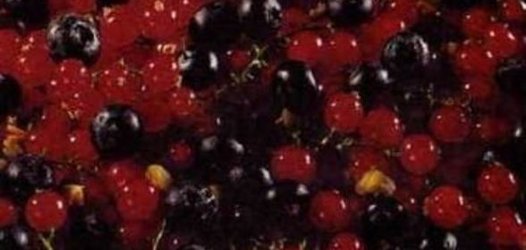 Синие рулетики