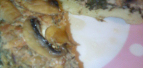 Открытый пирог с грибами, мясом и щавелем