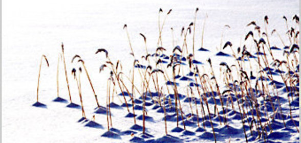 Приправа 2 - ШВЕДСКАЯ КРОШКА