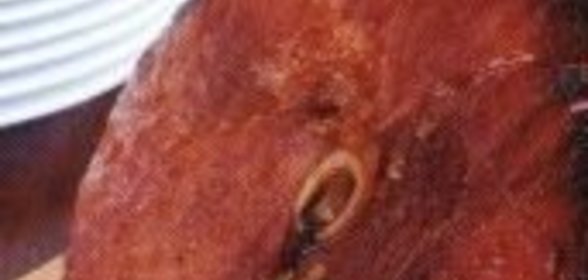 Чесночный соус Айоли или соус Ранч