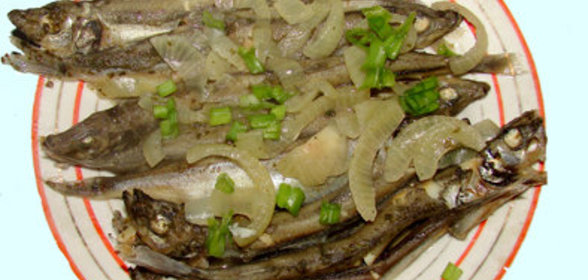 РЫБКИ ХОТИТЕ?