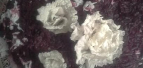 Суп со шпинатом и сыром