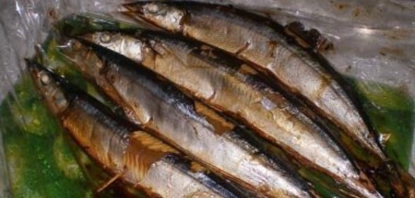 Салака горячего копчения