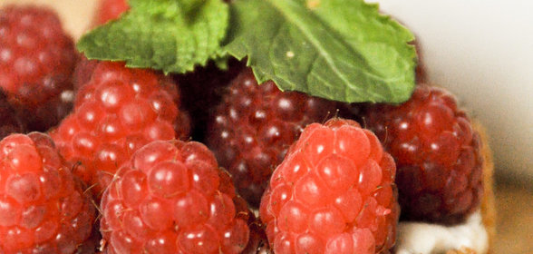 Миндальная тарталетка с творогом и свежей малиной