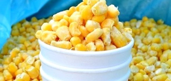 Сахарная кукуруза на зиму