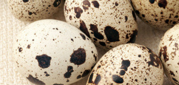 Шампиньоны с перепелиными яйцами