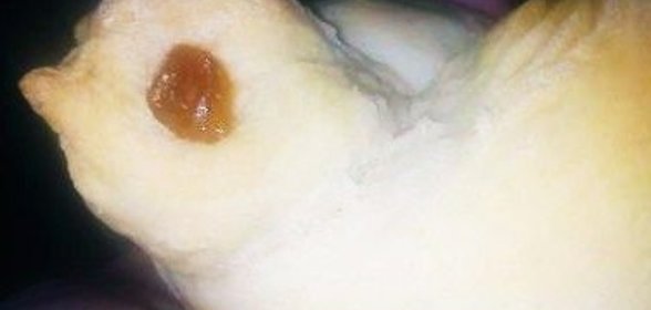 Чатни из яблок — острая пряная приправа