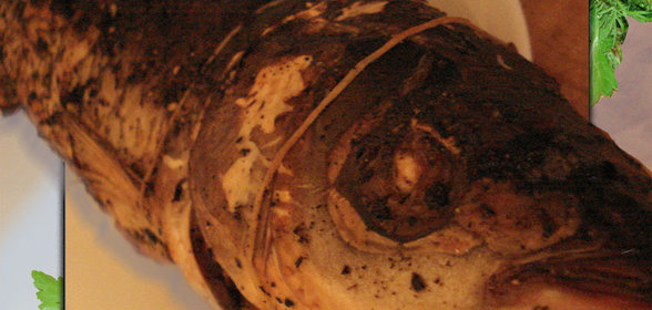 РЫБКА на ПЛОТУ