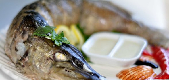 Щука, фаршированная в честь высоких гостей с сливочным соусом