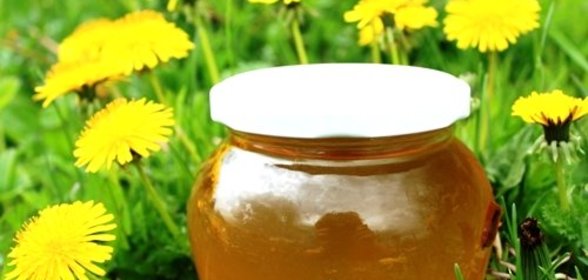 Варенье из одуванчиков для печени