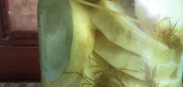 Творог со сметаной и сырыми овощами