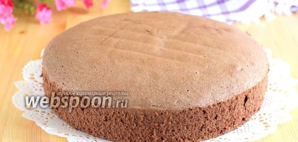 Польский шоколадный бисквит