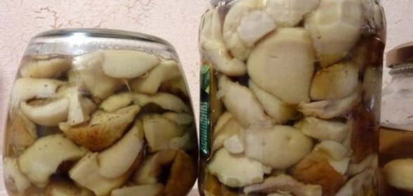 Зонтики на зиму