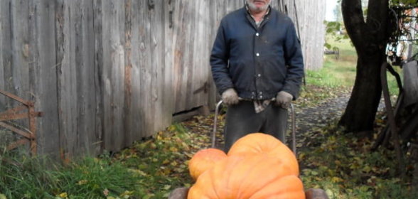 Соус зеленый