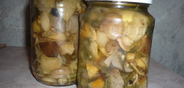 маринованные грибочки ВКУСНЯТИНА!