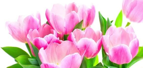 Творожные рулетики