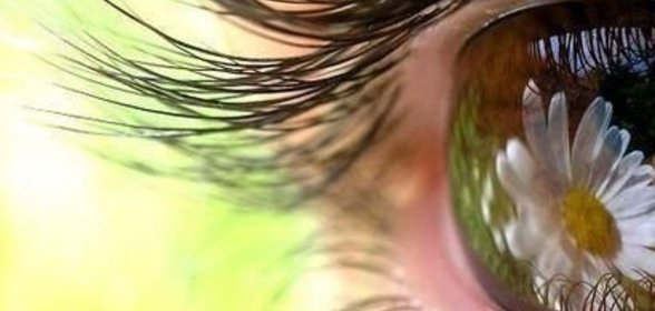 Ягоды с молоком, сливками или сметаной