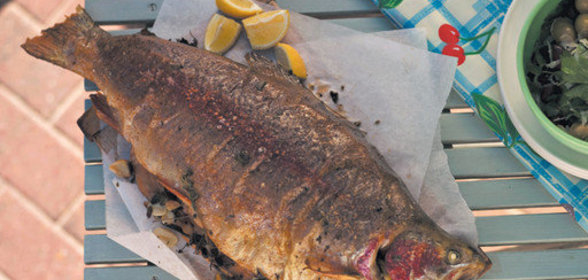 Жареная океанская форель