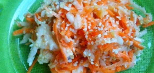 Приправа к пастынерам