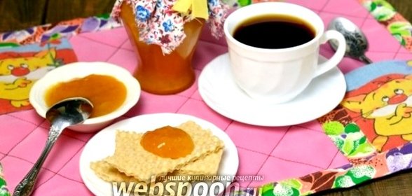 Джем из абрикосов на основе «Желфикса»