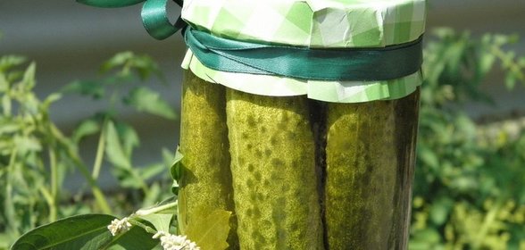Малосольные огурчики на зиму