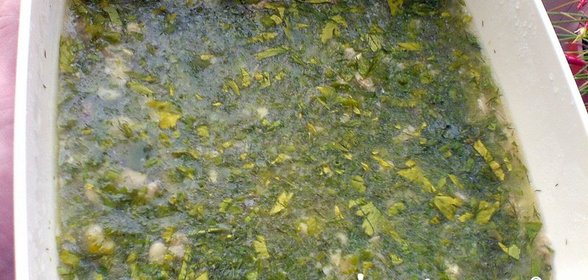 Холодец, бульон и жир из не ценных частей куриной тушки. Бюджетный рецепт