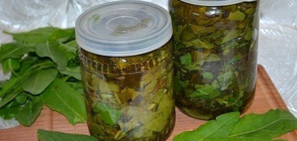 Щавель на зиму в банке
