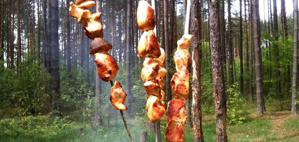 Куриный шашлык с уксусом и луком