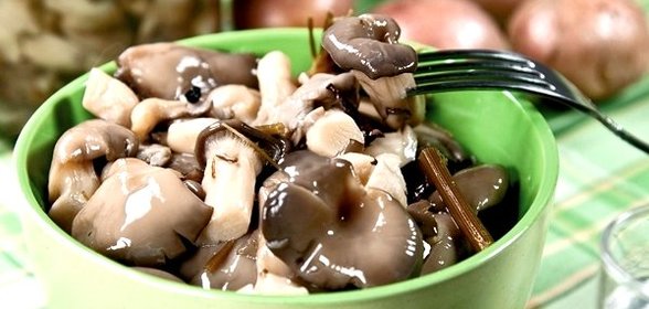 Маринованные вешенки
