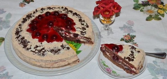 Шоколадный торт с вишней и сметанным кремом