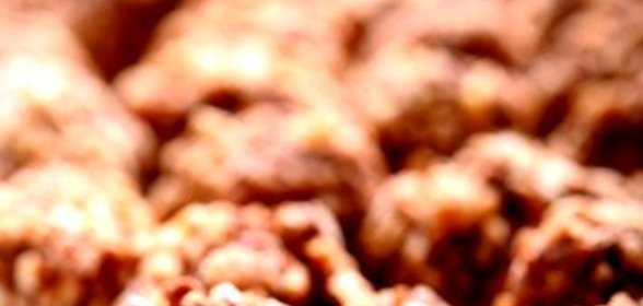 Трюфели с клюквой в крошке из грецкого ореха