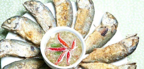 Пряный огуречный соус для рыбы на гриле