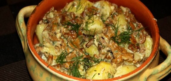 Лисички жареные со сметаной