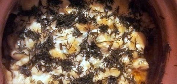 Мясо в горшочках с грибами и сыром