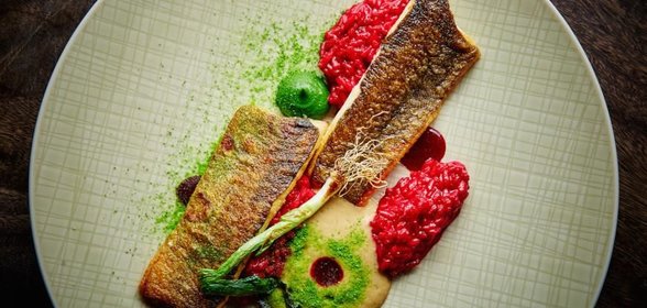 Севанская форель со свекольным ризотто