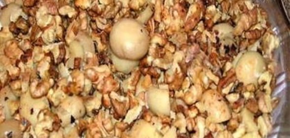 Грибной салат с сыром и чесночным соусом Ореховая сказка