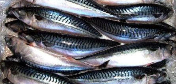 Очень простой, но очень вкусный САГУДАЙ из скумбрии