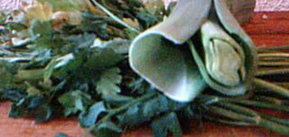 Луковая закуска