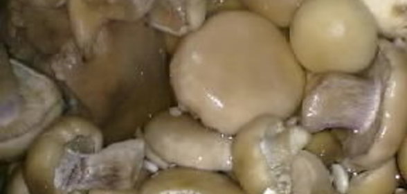 Макароны, запеченные с сыром