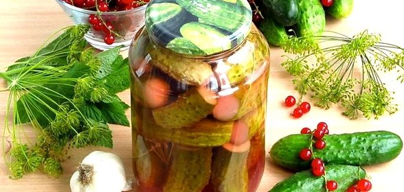 Огурцы, консервированные со смородиновым соком