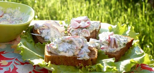 Бутерброды с зеленью и редисом