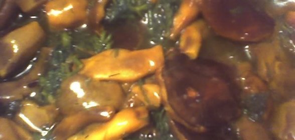 Соленые грибочки